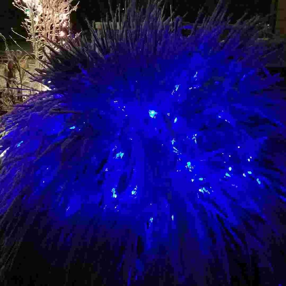 Meet your Posher, Valerie